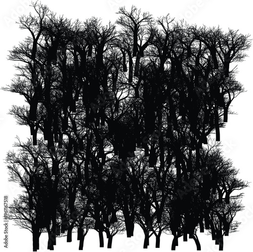 Leafless trees stand densely in a forest landscape illustration