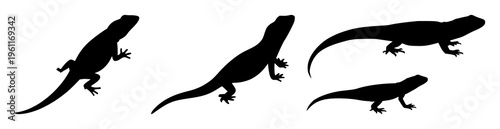 Lizard silhouette set with simple black outline on neutral background featuring reptile, animal, silhouette with bold and minimal