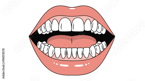 Detailed illustration of an open human mouth with a focus on healthy white teeth, pink gums, and a tongue against a white background.