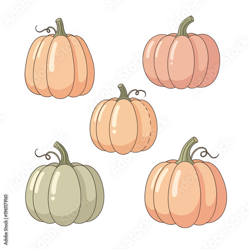 Five Orange and Green Pumpkins Illustration.