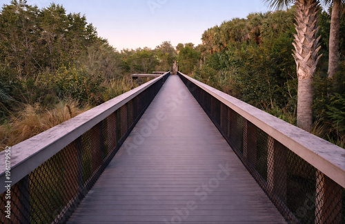 Wooden Boardwalk Path Through Green Park at Golden Hour in North Port, Florida