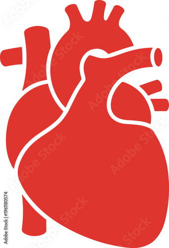 Minimalist red human heart silhouette icon representing cardiovascular health and organ function