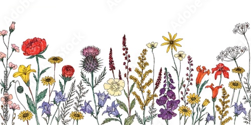  this wide horizontal illustration displays a dive