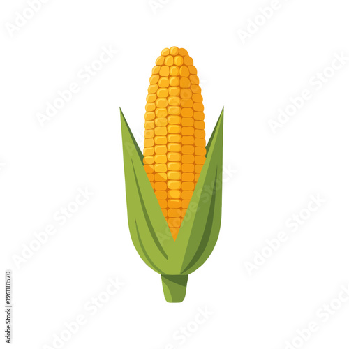 A close-up view of a single ear of corn with vibrant green husk leaves isolated on white background, Vector