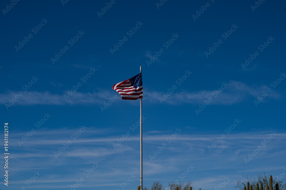 Fototapeta premium Flag over Organ Pipe Cactus National Monument