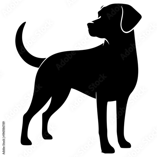 black labrador retriever dog vector