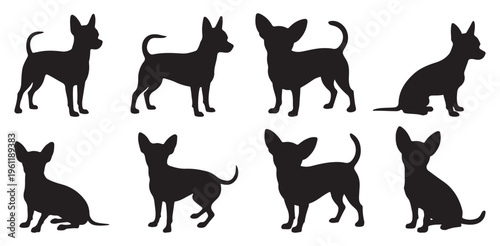 Small dog breeds standing silhouettes, terrier and puppy pet icons. vector illustration eps 10