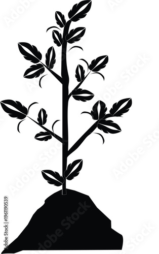 Minimalist black silhouette of a young plant sprout growing from a mound of fertile soil on a plain white background. This graphic represents nature, growth, and environmental sustainability in a clea