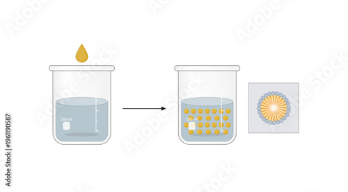 Emulsion, a mixture of two immiscible liquids (oil and water) in beakers, Emulsion oil in water, Immiscible liquids. Emulsification, emulsifier. isolated on white background. Vector illustration.