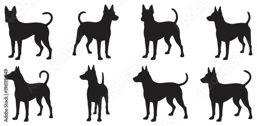 Variety of standing dog breeds silhouettes, canine pet collection set. vector illustration eps 10