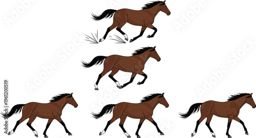 Running brown horse animation sequence with galloping motion poses, realistic equine movement frames set, farm animal vector illustration isolated on white background