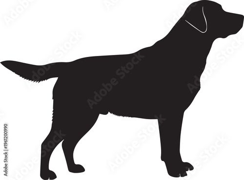 Black dog silhouette, Labrador vector icon, dog breed illustration, pet graphic