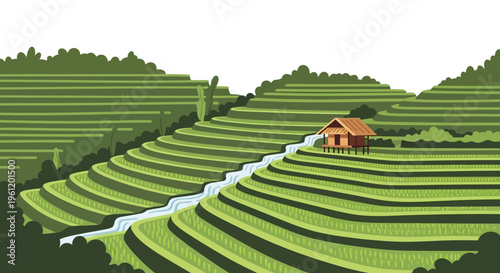 Terraced Hillside Farmland Vector