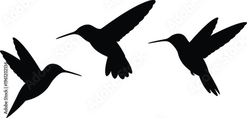 Black silhouettes of three hummingbirds in flight with spread wings isolated on a white background for nature and wildlife designsv