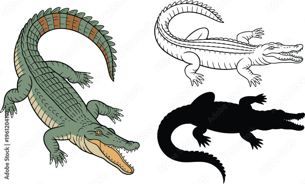 Fototapeta premium Crocodile silhouette & Outline and illustration set isolated on transparent background