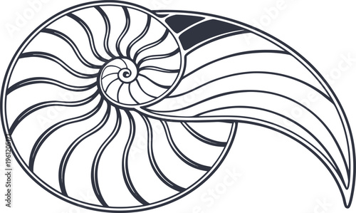 Black nautilus shell spiral shape