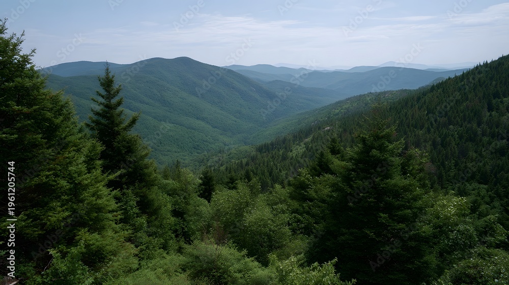 Fototapeta premium A vast serene panoramic vista of lush green mountain ranges covered in dense forests under a clear pale sky