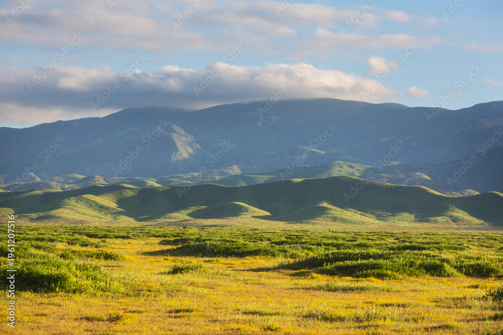 Obraz premium Green hills