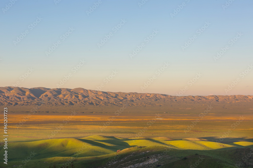 Obraz premium Green hills