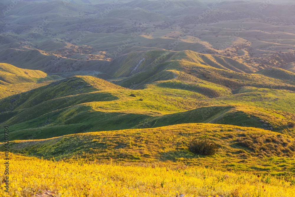 Obraz premium Green hills