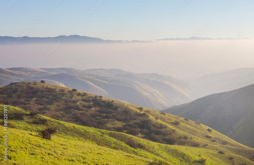 Obraz premium Green hills