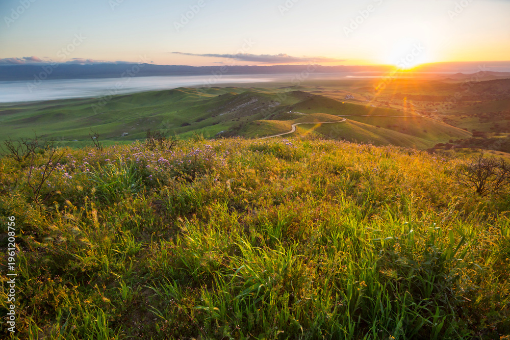 Obraz premium Sunny meadow