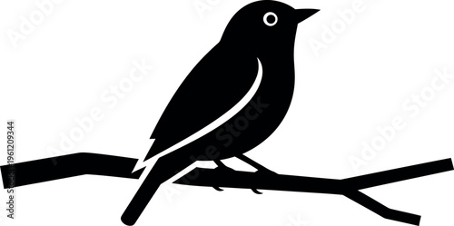 Black bird perched on a branch silhouette