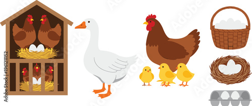 Farm poultry vector collection featuring hens in a chicken coop, a white goose, mother hen with yellow chicks, and fresh eggs in baskets and cartons.