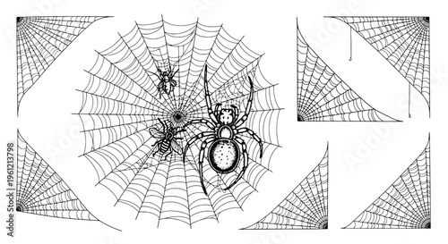 Spiders web corner set with black lines and insects, Halloween-themed vector illustration featuring arachnid, creepy, crawly with dark and eerie