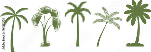 Collection of tropical palm tree silhouettes including coconut fan and date palms for summer vacation travel branding beach resort promotion and exotic nature landscape vector illustration design.