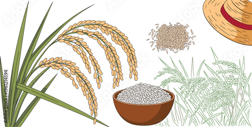 Rice agriculture vector set featuring paddy stalks bowl of white grains farmer straw hat and organic farm harvesting elements for food industry and Asian cultivation designs.