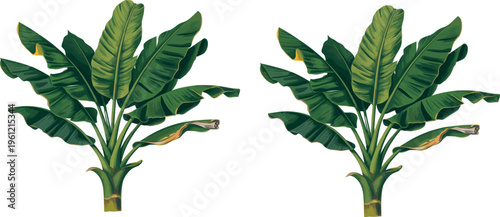 I have compiled your 15 single words, 15 two-word phrases, and 15 three-word phrases into one continuous, comma-separated line as requested.