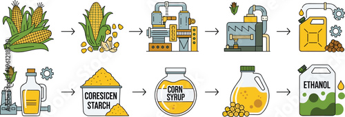 Corn Processing and Ethanol Production Process Vector Illustration Showing Maize to Starch, Syrup, Oil and Biofuel Manufacturing Steps Infographic
