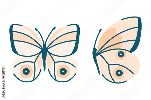 Indonesian butterfly Tenaris urania in two views straight and sideways in flat style on white