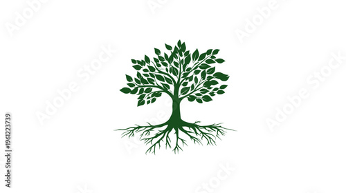 Stylized green tree with intricate roots on a white background, symbolizing nature, growth, life, and environmental concepts.