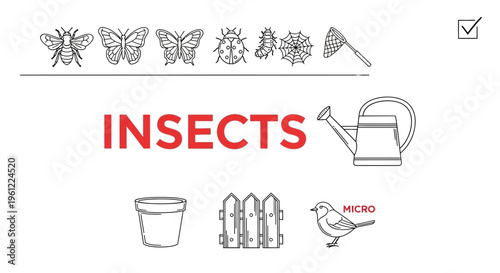Black and white line art icons related to nature and gardening surround the red word INSECTS