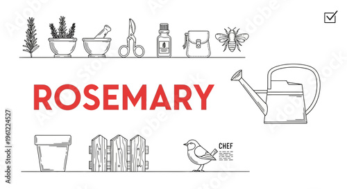 Black and white line art illustrating rosemaryrelated items above the word ROSEMARY in red
