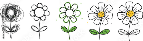 Flower Drawing Process Vector Illustration Showing Sketch to Final Colored Daisy Design with Step by Step Creative Art Transformation