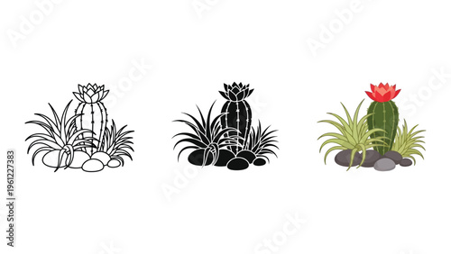 Cactus Desert Plants Rocks Commercial Asset