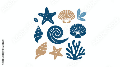 Collection of various sea shells and starfish on white background