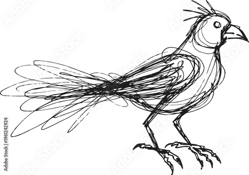 sketch of a bird with elaborate tail feathers and spiky crest, standing on claws