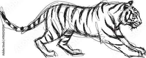 Dynamic black and white tiger sketch running with detailed stripes and fierce expression