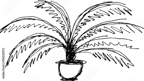 hand drawn potted plant with long leaves sketch indoor houseplant illustration for decoration and nature concept