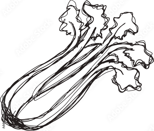 fresh celery stalks with crisp leaves, healthy vegetable illustration for cooking and nutrition