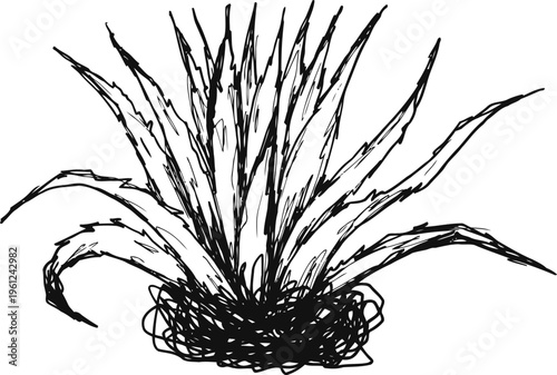 wild grass plant silhouette with long narrow leaves and natural ground base outline