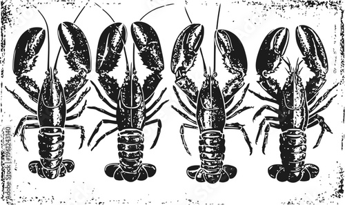 Lobster illustration set hand drawn crustacean sketches with claws and antennae vintage seafood design