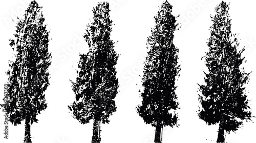 Four detailed silhouette illustrations of tall pine trees with dense foliage on a white background