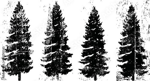 set of grunge silhouette pine trees with texture, vintage forest conifer shapes, rustic nature design elements