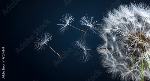 dandelion seeds and fireworks in dark sky with vibrant colors and delicate textures