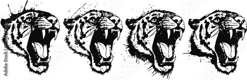 roaring tiger head illustrations in black and white, fierce wild animal face set